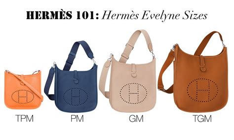 difrence between the hermes evelyn pm and gm|hermes evelyne crossbody.